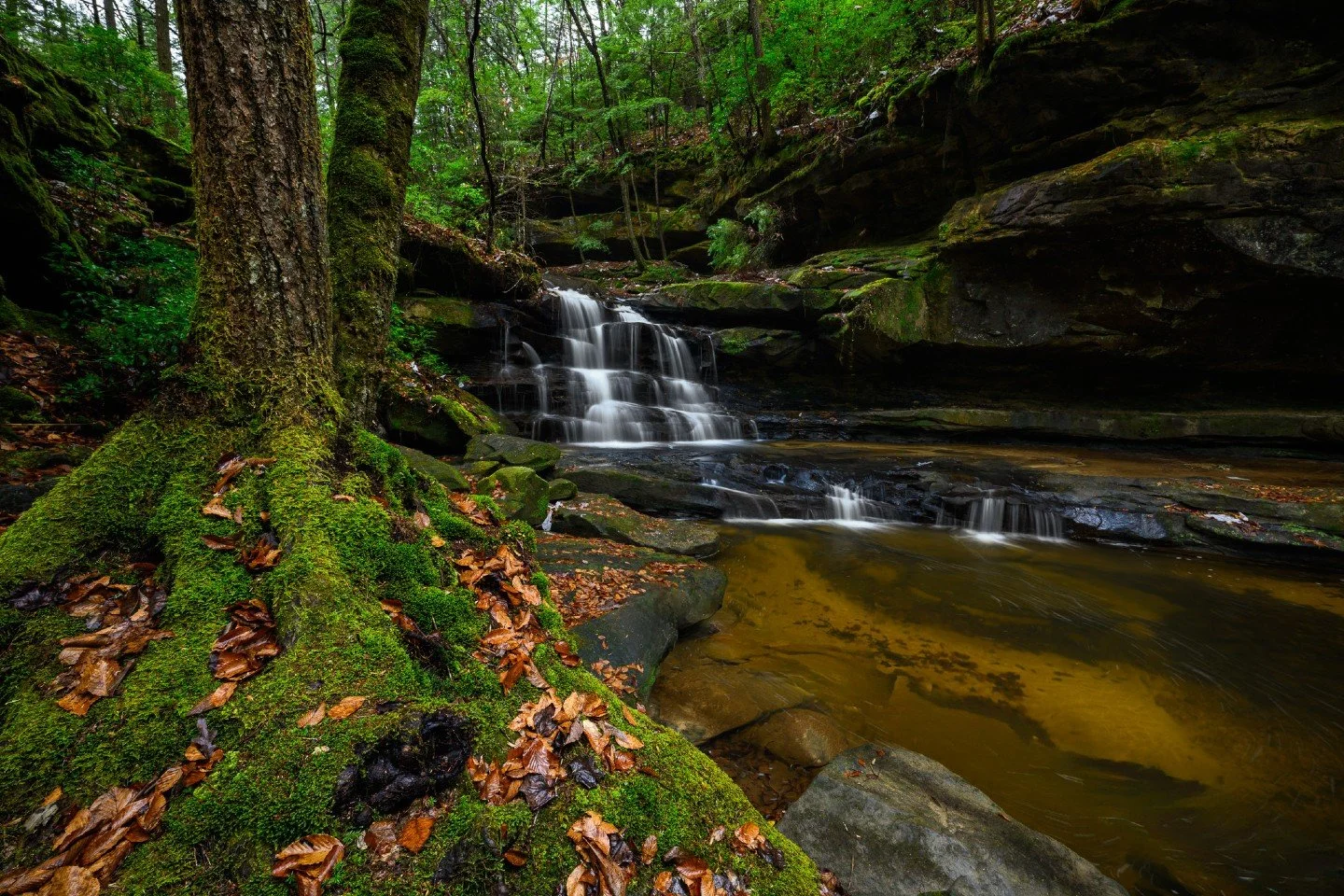 Chasing waterfalls in the heart of Alabama 🌿✨

If you haven&rsquo;t explored the Bankhead National Forest in Alabama yet, you are missing out on one of the state's true gems.  This is Parker Falls, tucked away in the Sipsey Wilderness (often called 