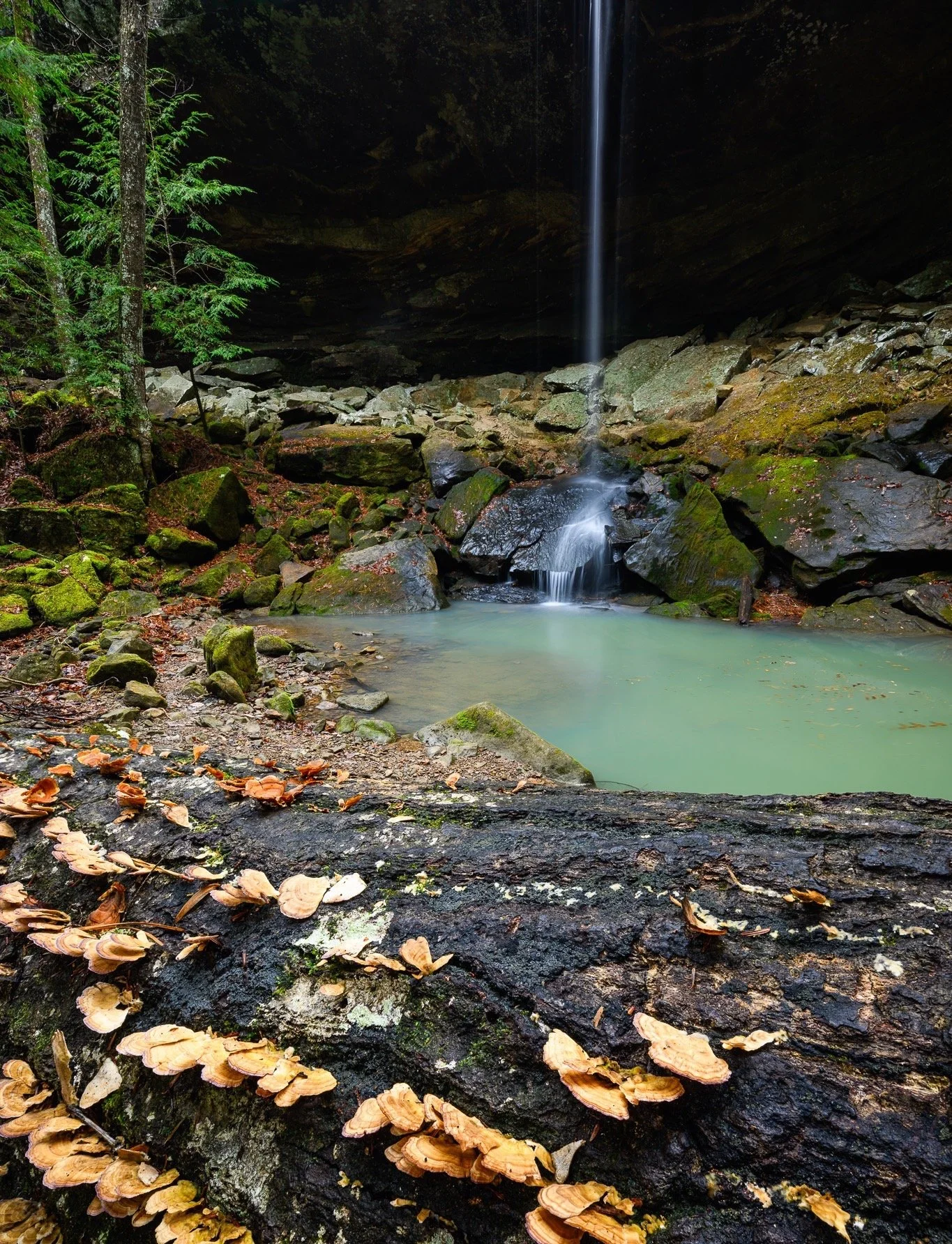 Finding the perfect balance between the grand scene and the small details. 🍄 🌊

At Holmes Chapel Falls in Bankhead National Forest, I didn't just want a picture of the waterfall; I wanted to capture the texture of the forest floor.  I used this inc