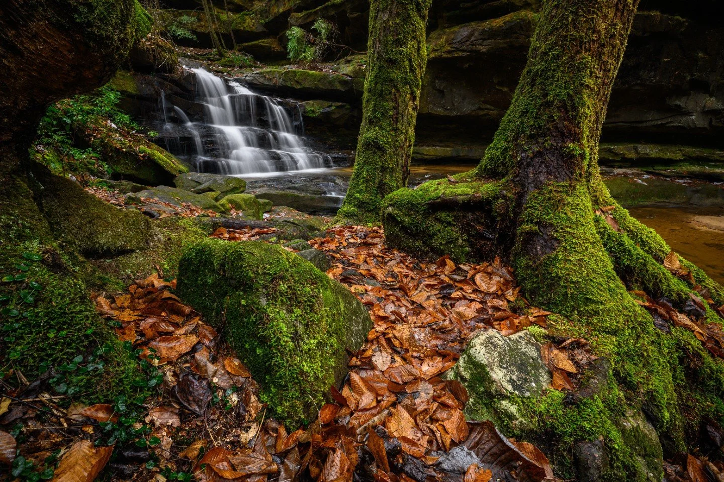 A different view of Parker Falls today. 🍂🌊

I know I shared the main drop earlier this week, but I couldn't move on without showing this perspective.  While the cascading water is usually the star of the show, the rugged landscape of the Bankhead N