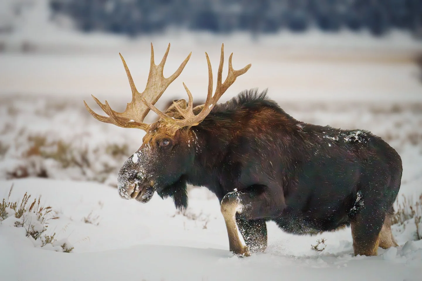 Hard to believe we are already at the finish line of 2025. 🤯 As we wrap up the year, I&rsquo;m looking back at some of my favorite moments behind the lens, month by month.

We&rsquo;re kicking things off with January.

There is nothing quite like th