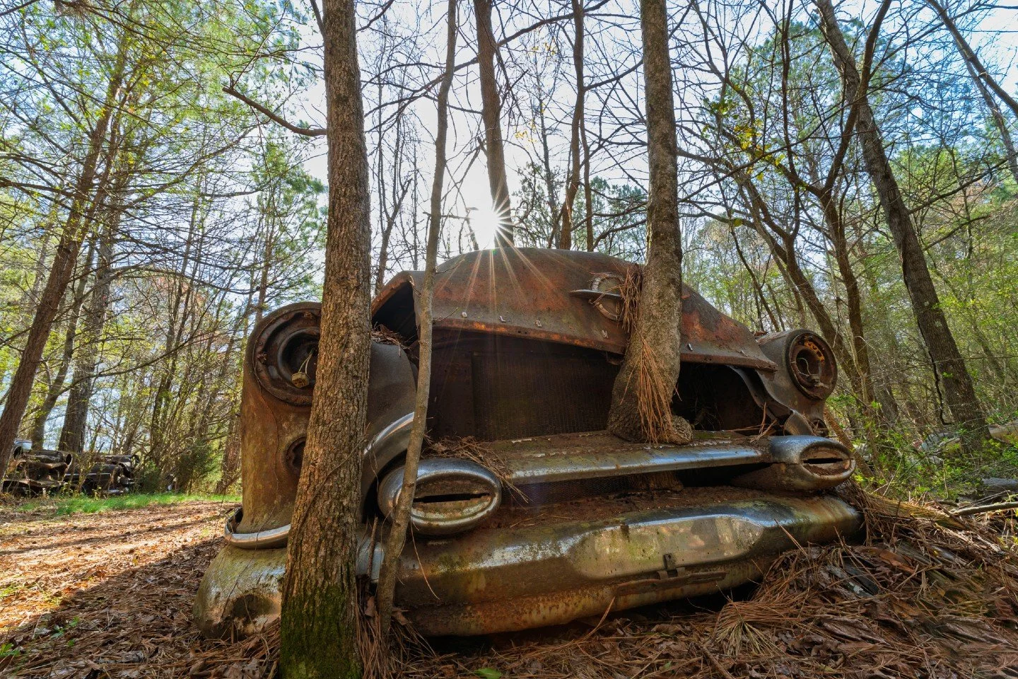 March 2025 had me getting lost in 34 acres of rusted steel and pine trees at Old Car City USA.

This is the "March" entry for my 2025 look-back series.  If you&rsquo;ve never been to Old car City in White, Georgia, this place is a photograp