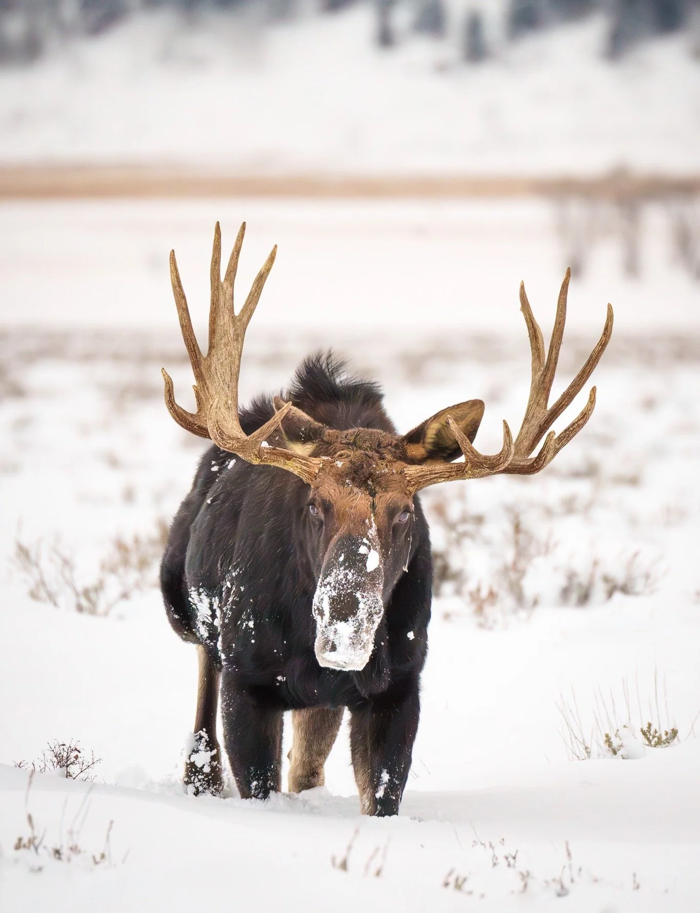 I used to be the guy who would get home from a trip, lock myself in the office, and spend hours upon hours editing every single frame before I&rsquo;d even unpacked my bags.

Lately, my approach has shifted.  I&rsquo;ve traded the marathon editing se