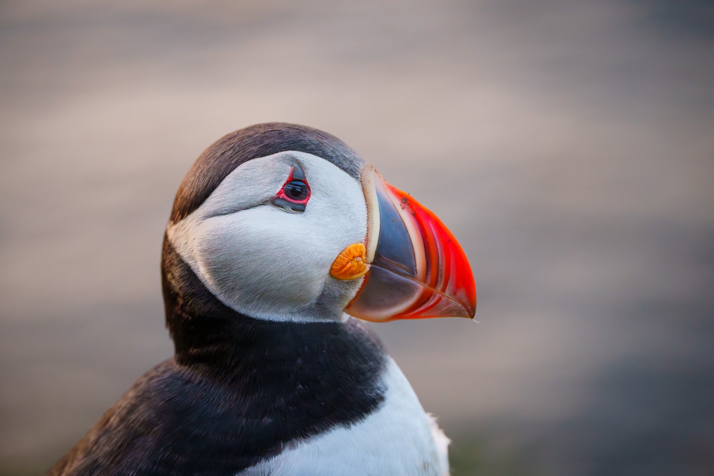 Seeing my friend David Akoubian&rsquo;s incredible shots from his current trip to Iceland has me feeling a major case of "Iceland FOMO." ❄️🇮🇸

It inspired me to dive back into my archives from last summer, and I stumbled across this Atlan