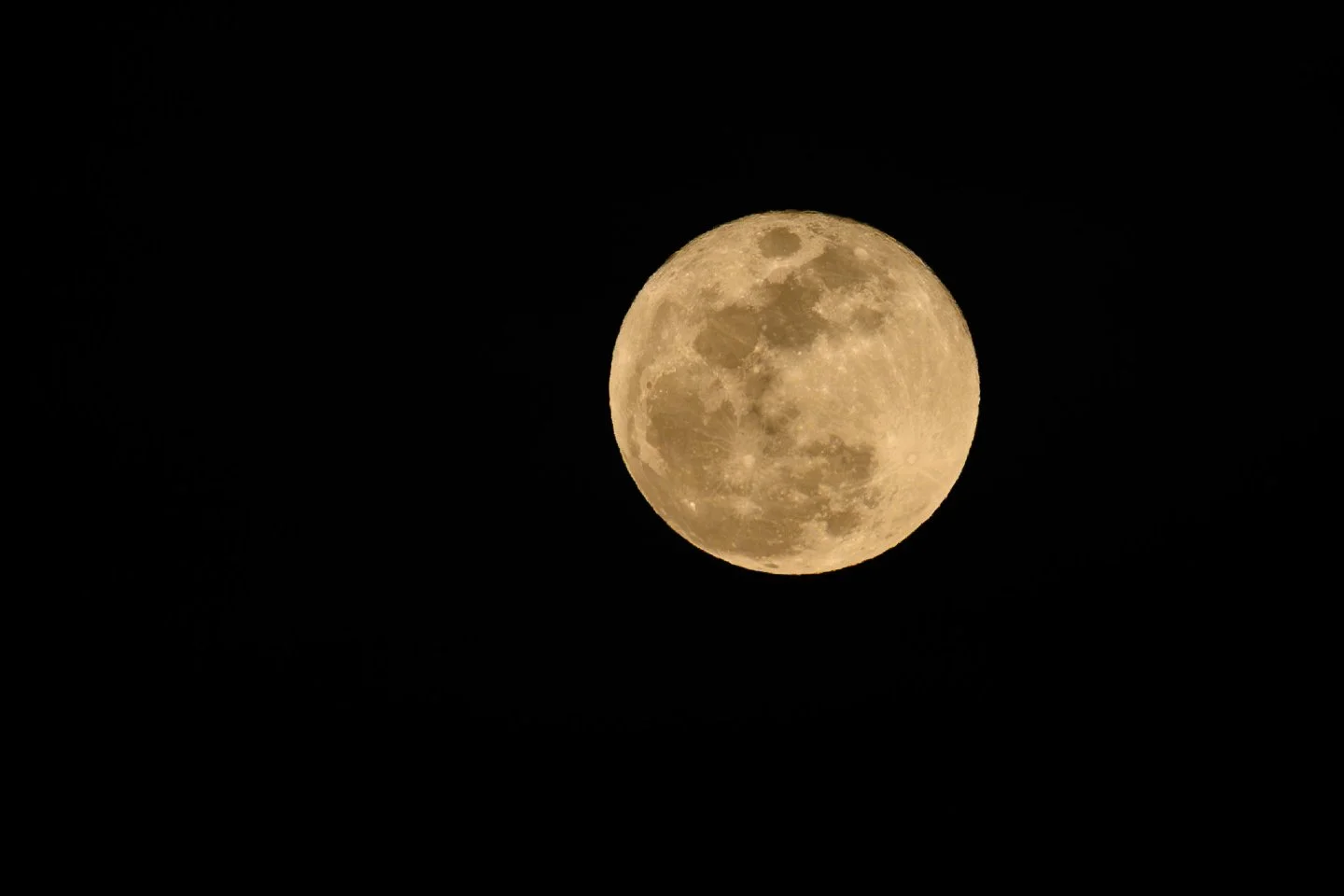 Missed the alarm, but caught the glow. ✨

I&rsquo;ll admit it: I completely slept through the total lunar eclipse early this morning (3-3). 🥱 But walking out into the front yard tonight in Huntsville, I saw this golden beauty hanging in the sky and 