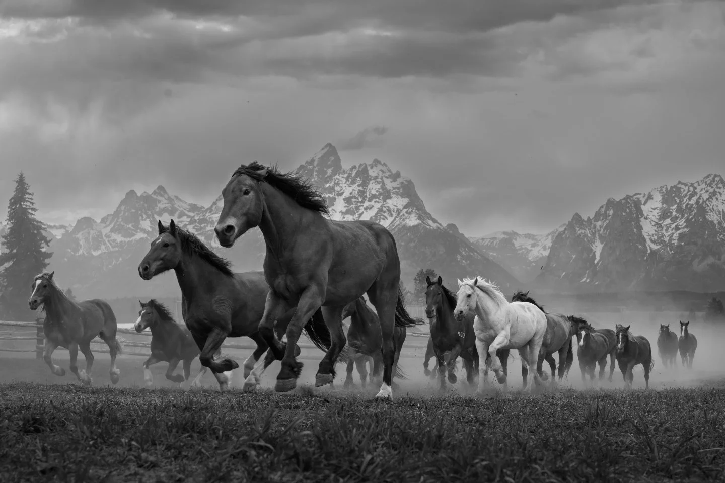 Be honest... are you tired of the horse pictures yet? 😂

These long, busy days have had me running on fumes, and truth be told, these equine images are the only ones I&rsquo;ve even had time to sit down and look at!
For the last 10 days, I've photog