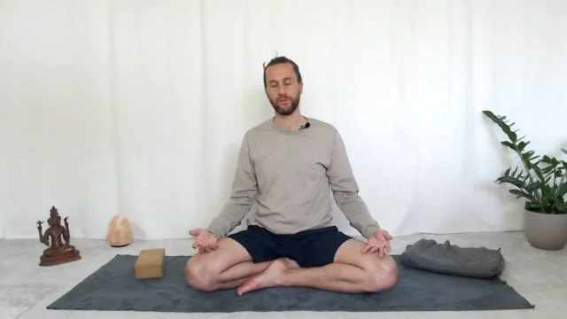 Lizard to Swan (Copy)