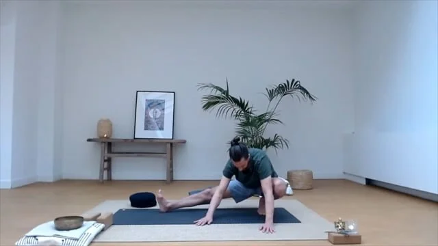 Slow Yang transitions (Copy)