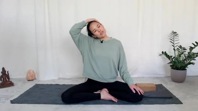 Graceful bow to Swan (Copy)