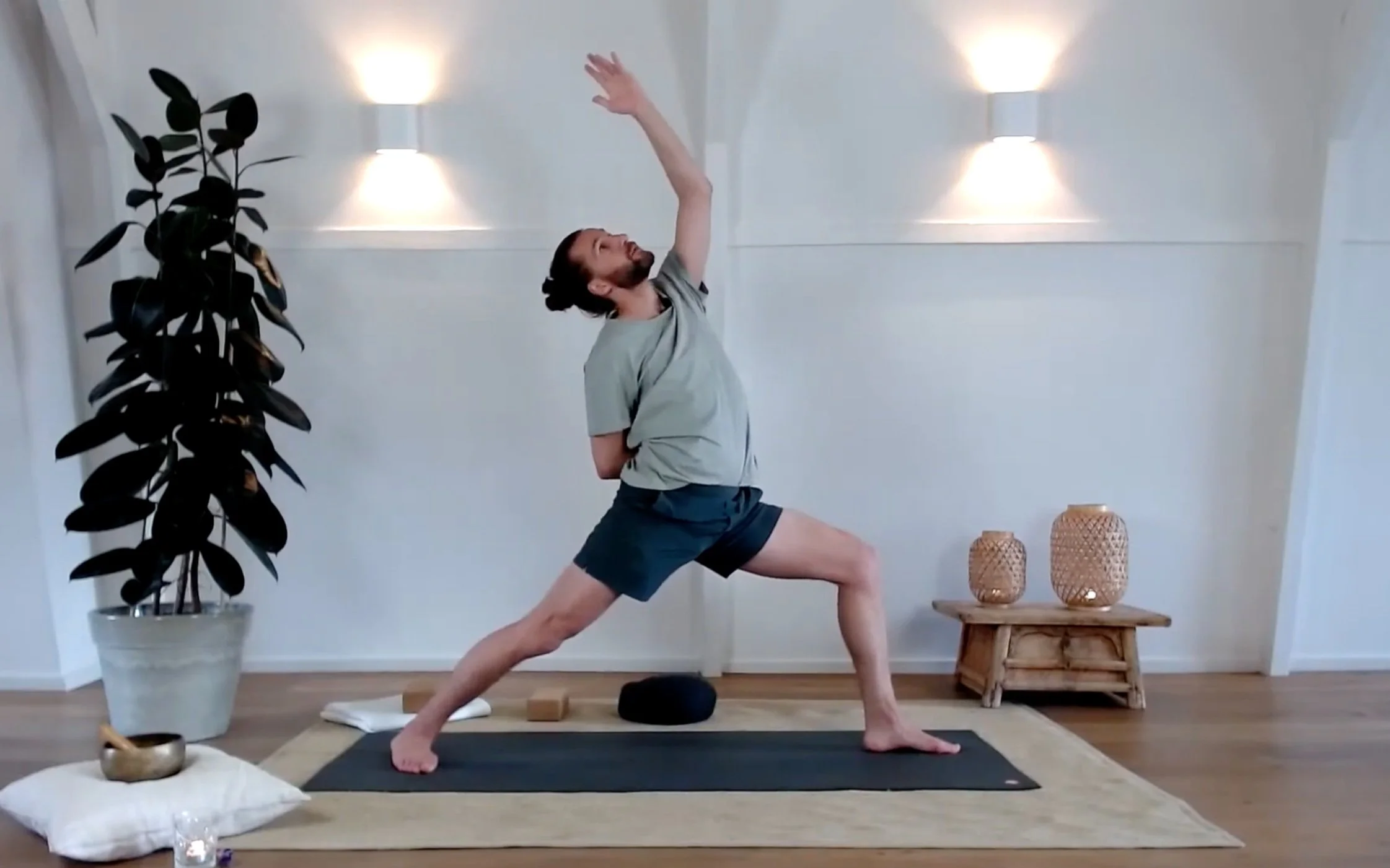 Sleeping Dragon (Copy)