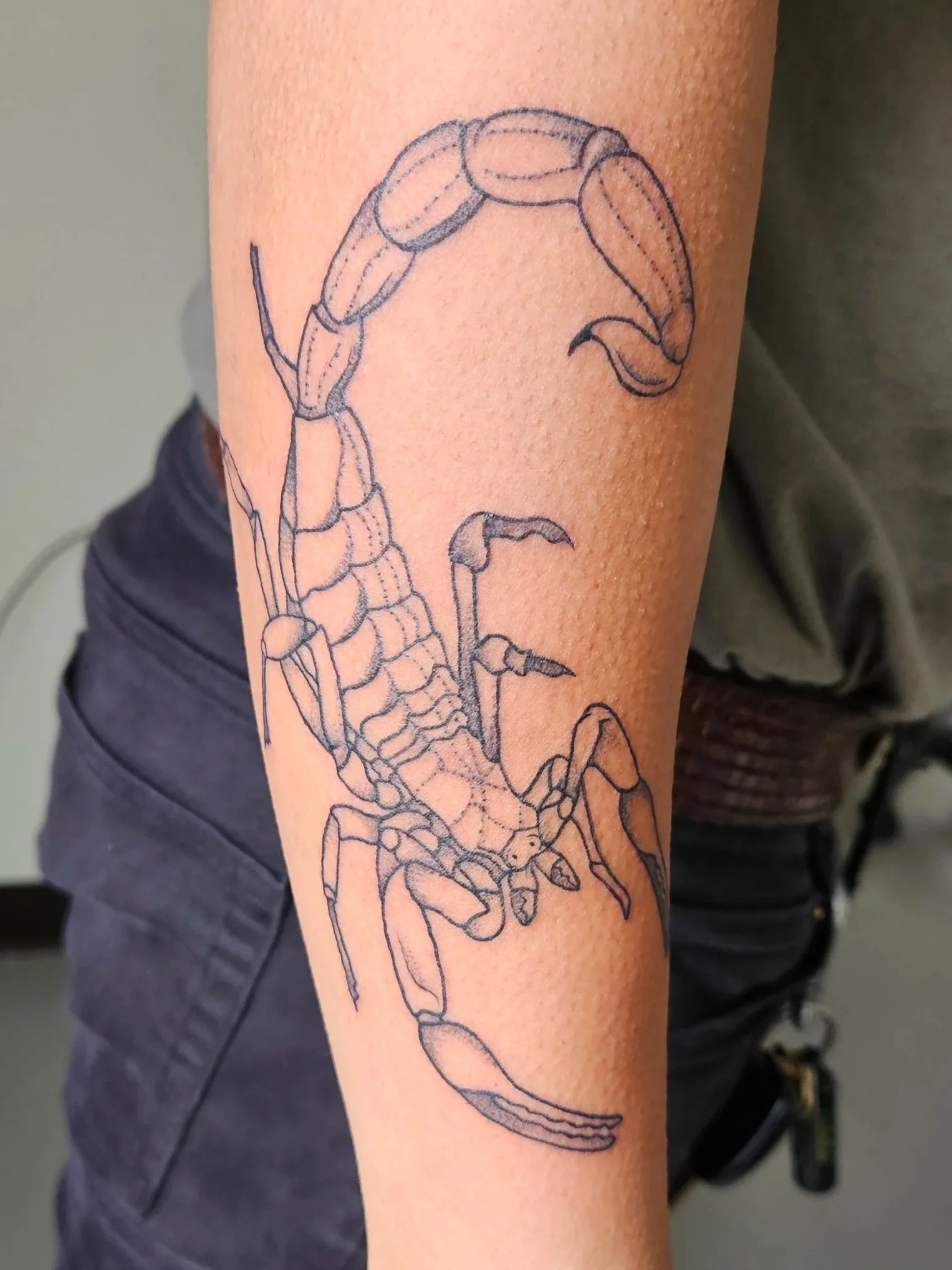 B & G - Illustrative