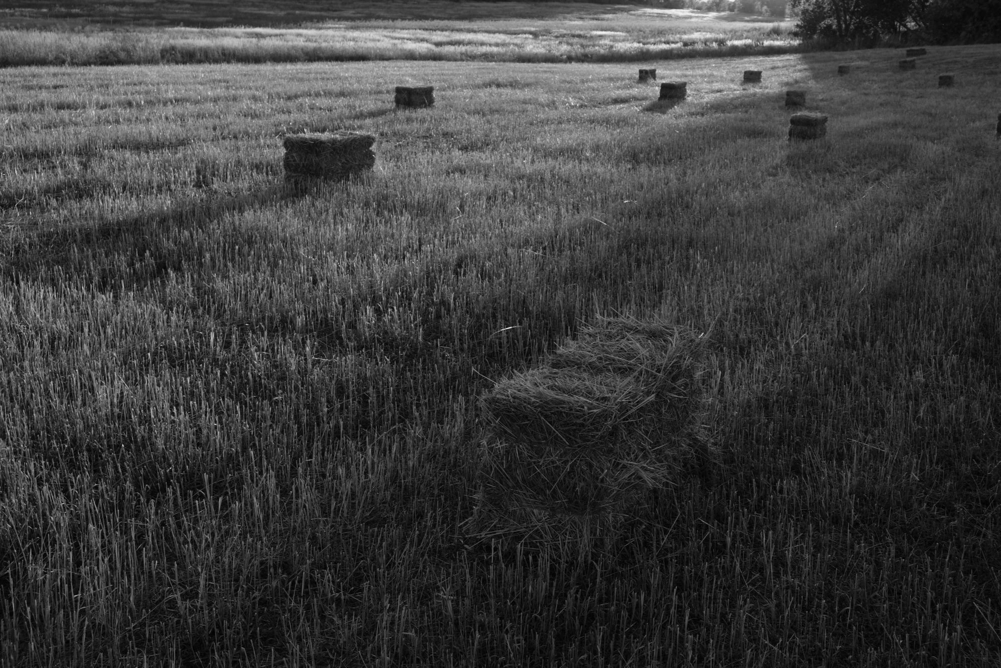 Bales