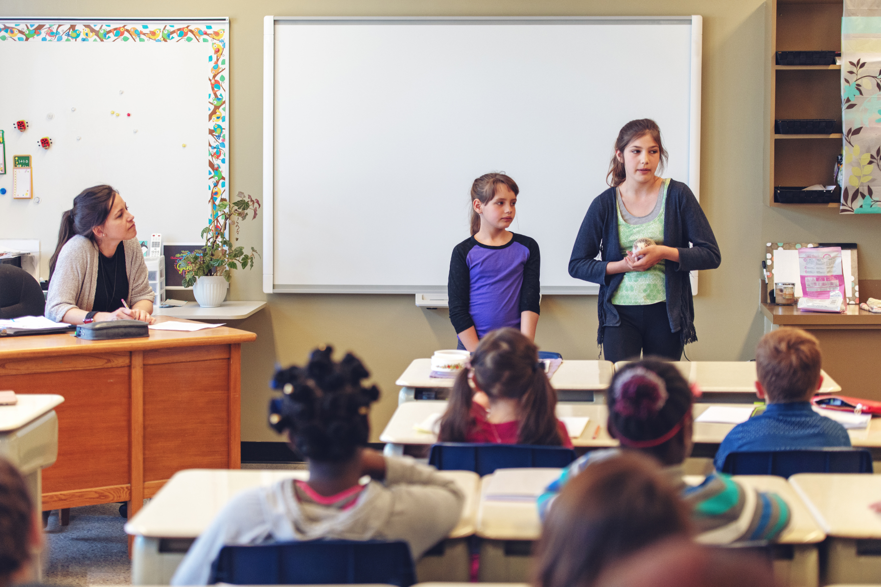Workshop for Elementary Students - BBY