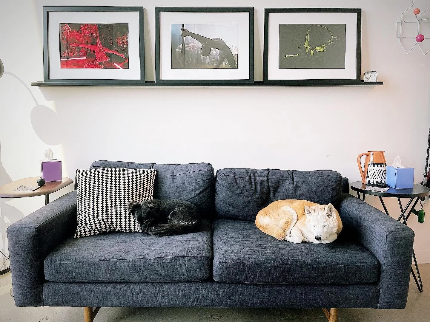 And once in a great while it&rsquo;s two! 🐕&zwj;🦺🦮

#therapy #psychotherapy #healing #williamsburg #greenpoint #anxiety #depression #trauma #therapist #psychologist #mentalhealth #wellness #gratitude

transcendentself.com