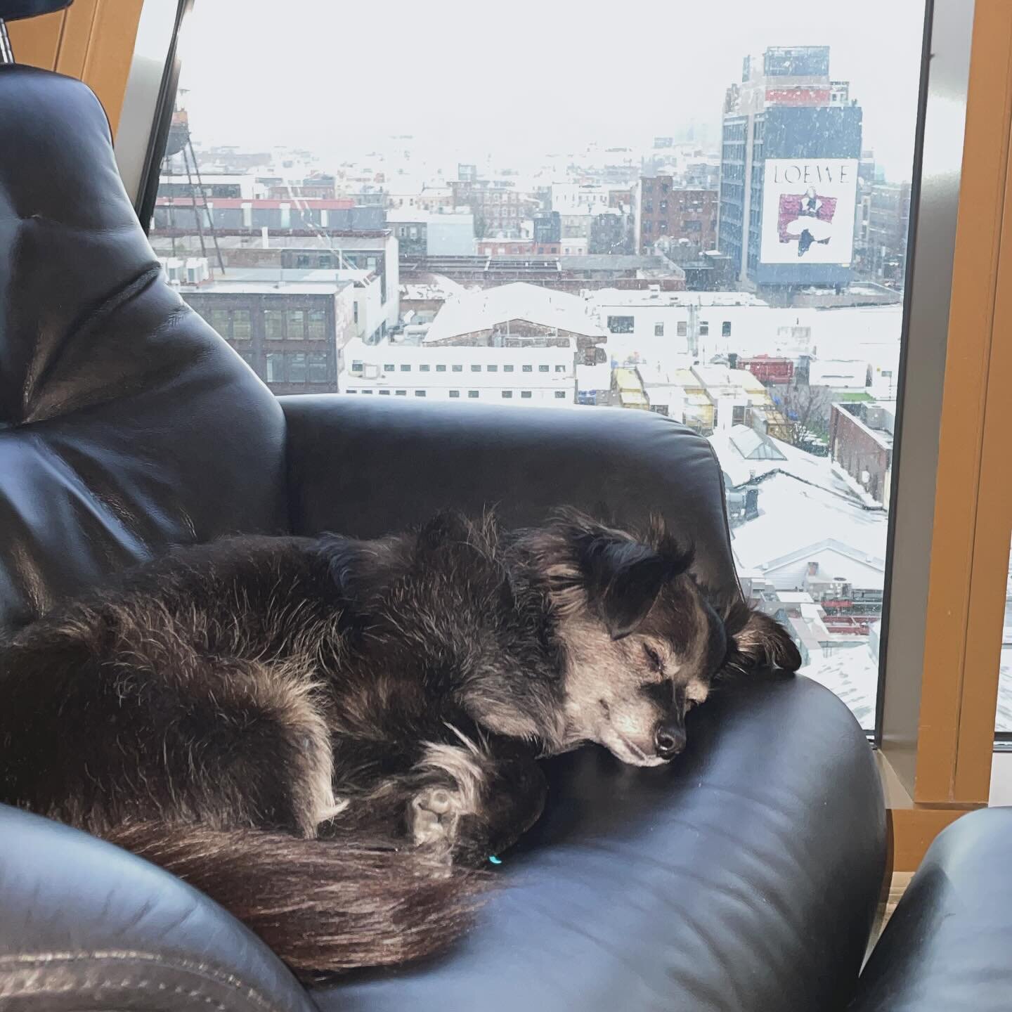 It may be rainy and gray outside but it’s cozy in our office!
Book a free consultation with us to get started on your healing journey 🌟
*link in bio
#therapy #psychotherapy #healing #williamsburg #greenpoint #anxiety #depression #trauma #t