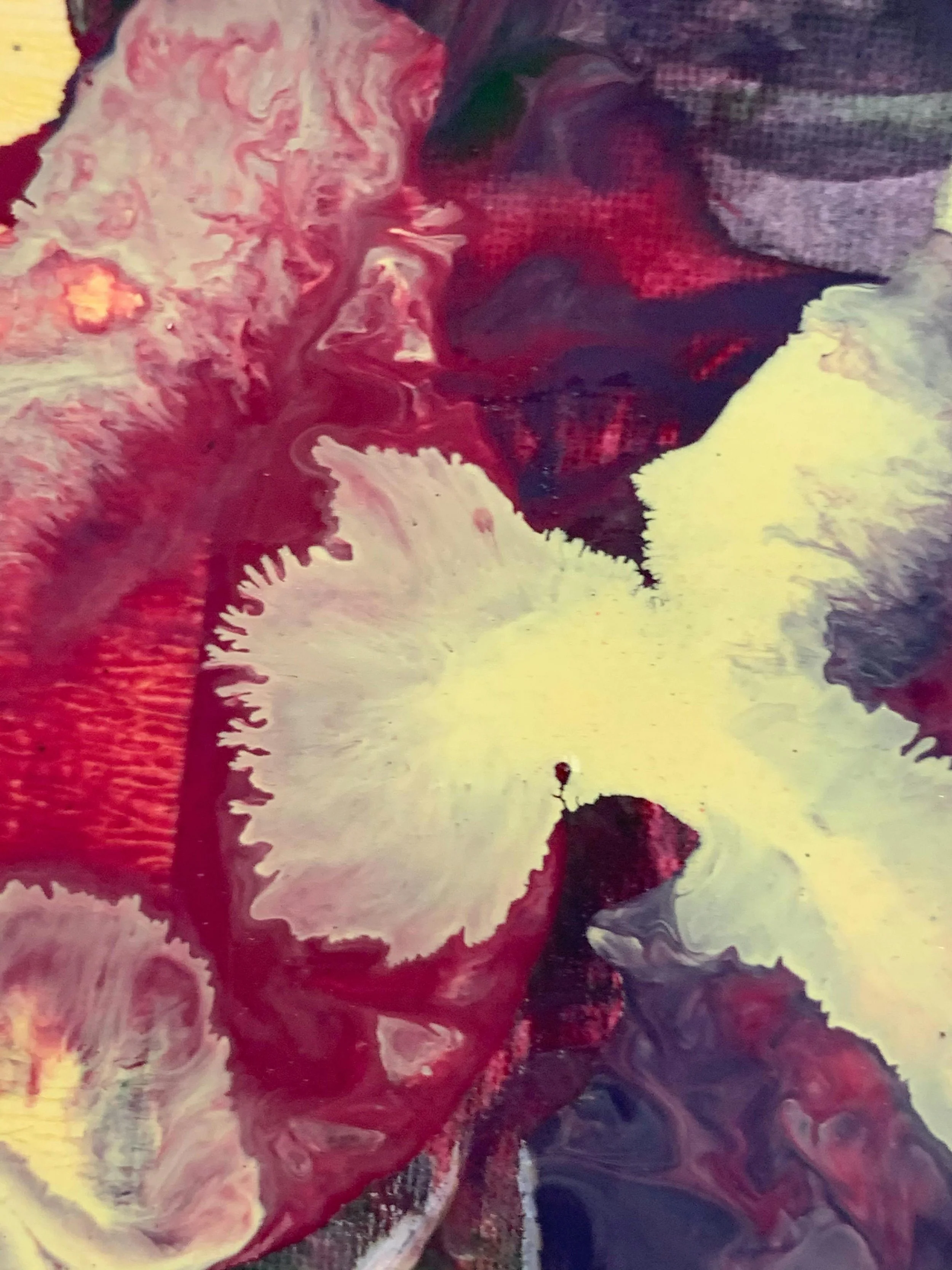 Meet the Therapists of Transcendent Self Therapy 