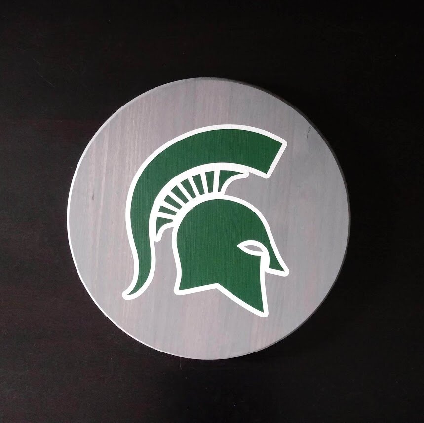 MichiganStateGray18.jpg