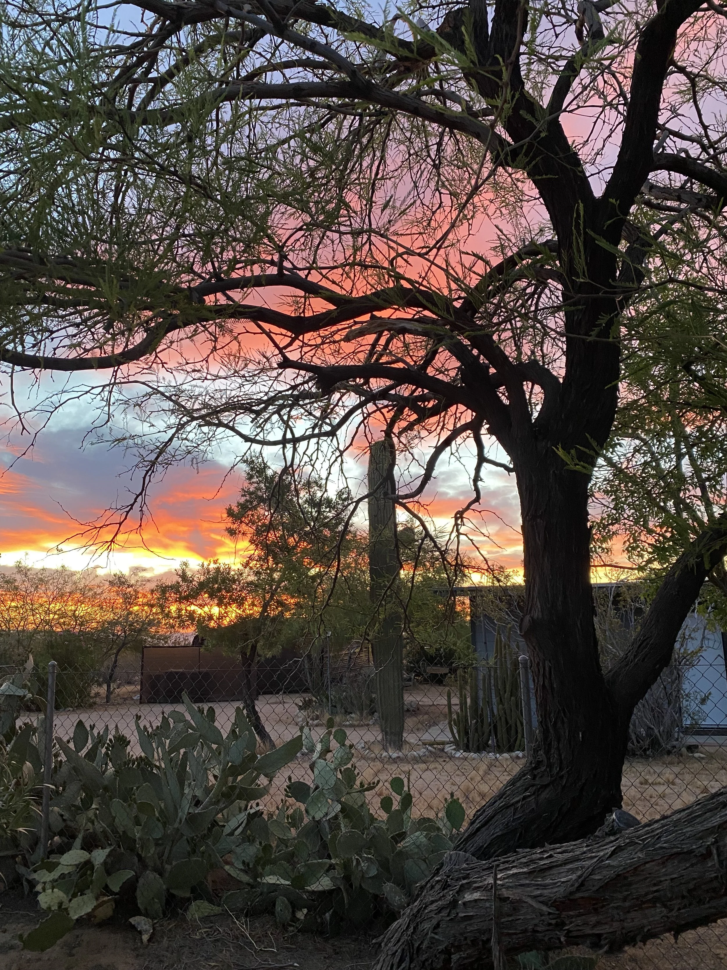 sunrises are epic