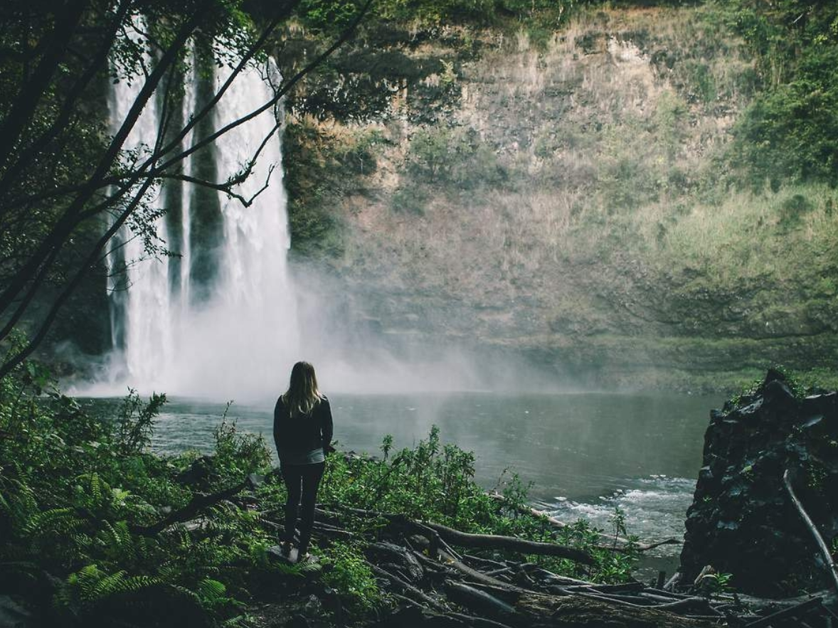 waterfall-forest.png