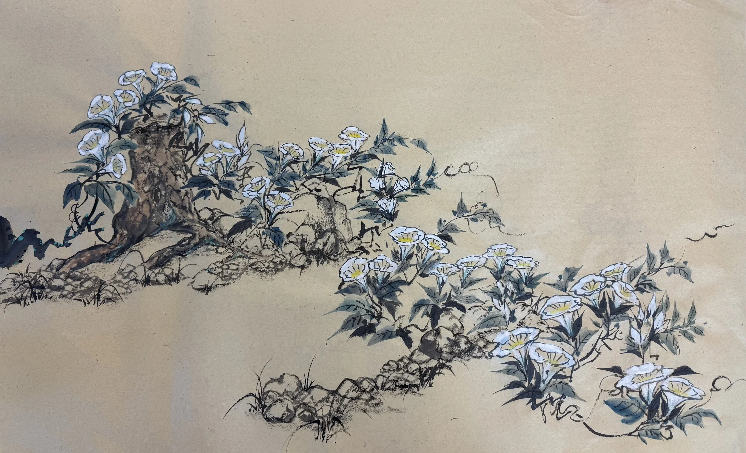 white flower.jpg