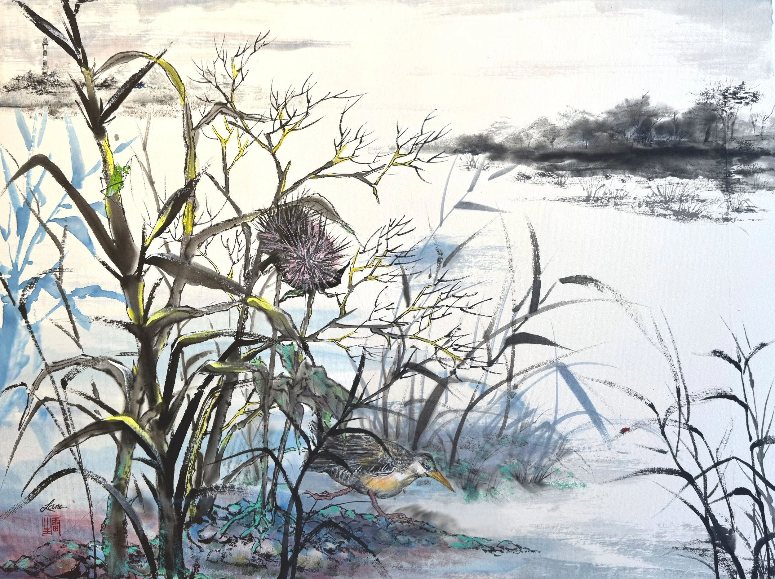 Marsh Hen On The Run 1 adjusted.jpg