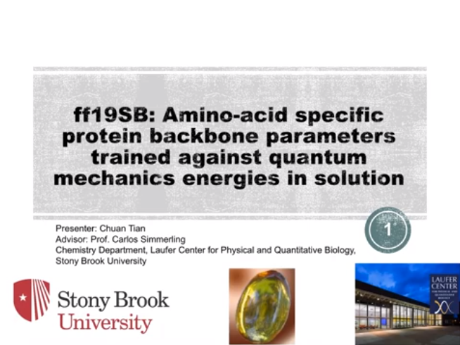 New Videos Explaining Recent Research Results from the Simmerling Lab