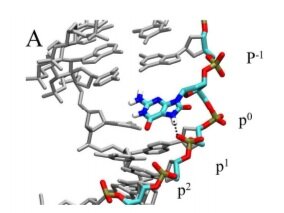 New Publication from Haoquan Li
