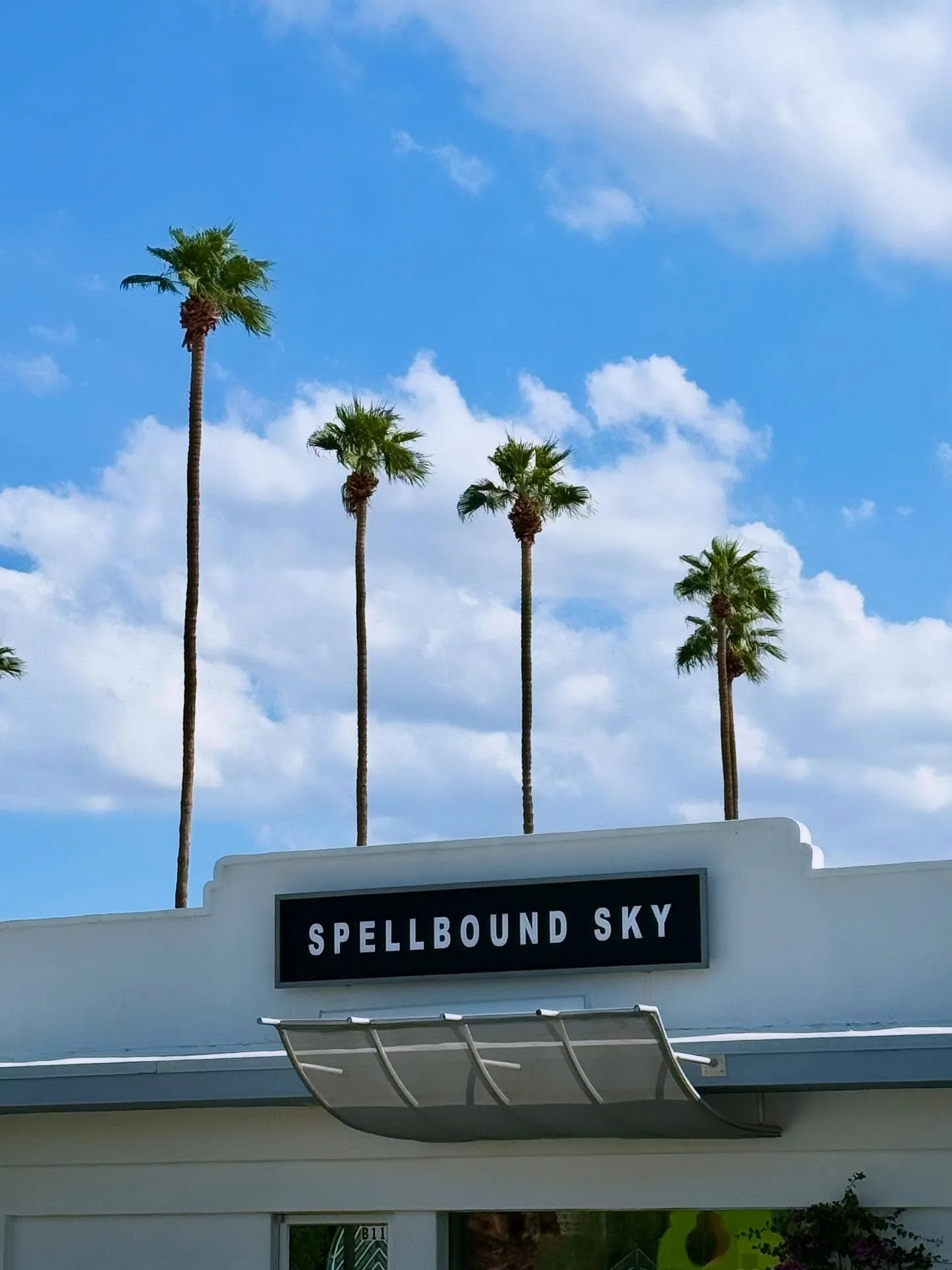 MEANWHILE AT SPELLBOUND SKY PALM SPRINGS 🔮🌴✨

In addition to getting our sign up this week, we are having the best time sharing magical moments with everyone that drops by the shop&hellip;.the good vibes are off-the-chart! We have immense gratitude