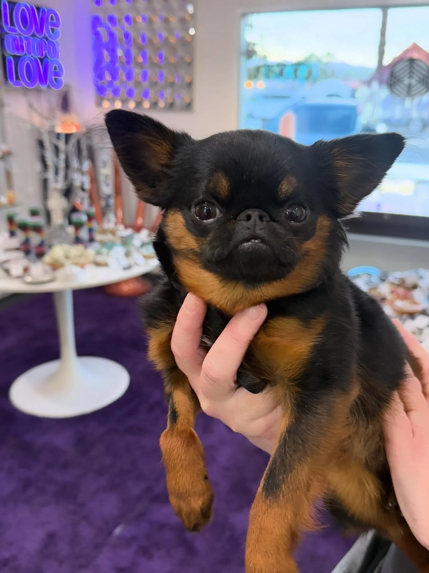 MEANWHILE AT SPELLBOUND SKY PALM SPRINGS 🔮🌴✨

We are having the best time sharing magical moments with everyone that drops by the shop&hellip;the vibes are DOING IT RIGHT!  We have immense gratitude for all the love and support that we are receivin