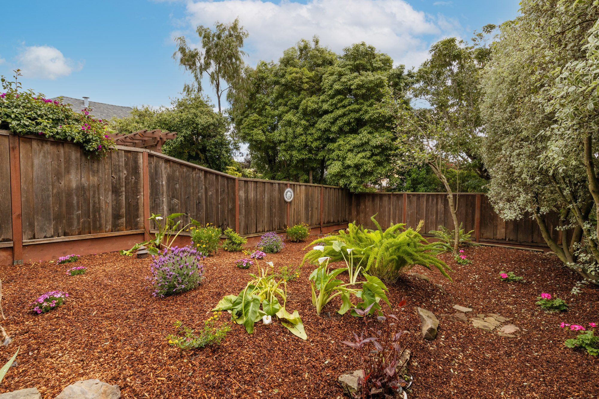 373_Chenery-68.jpg