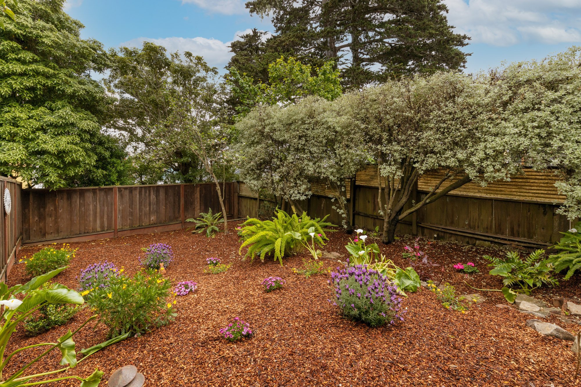 373_Chenery-69.jpg