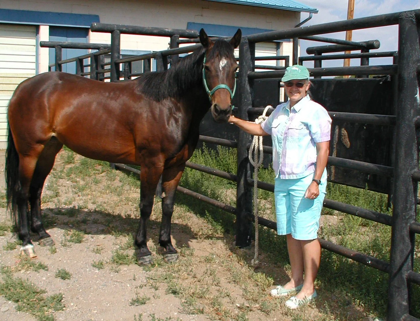 Even thin horses can have high insulin
