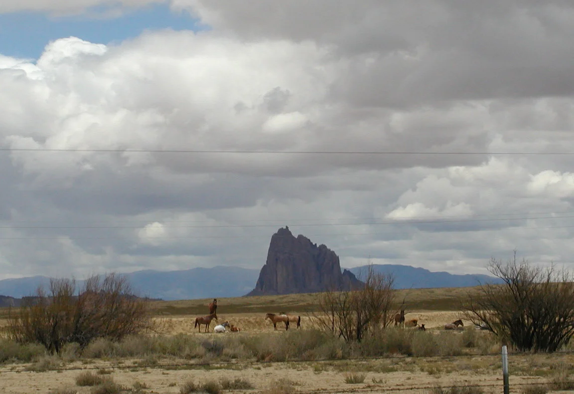 Feral horses near Shiprock, New Mexico