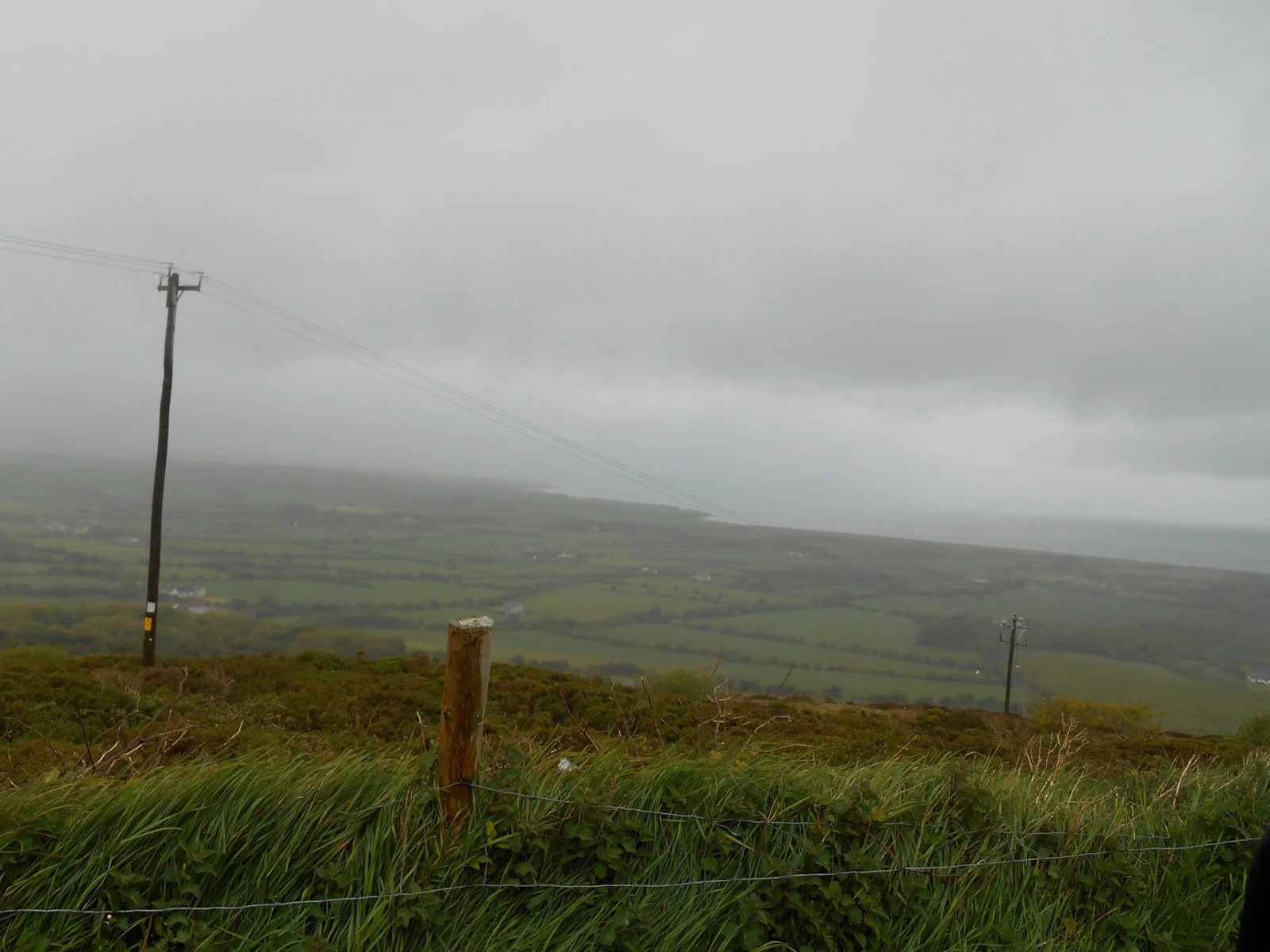 In cloudy climates, like Ireland, grass tends to be lower in NSC