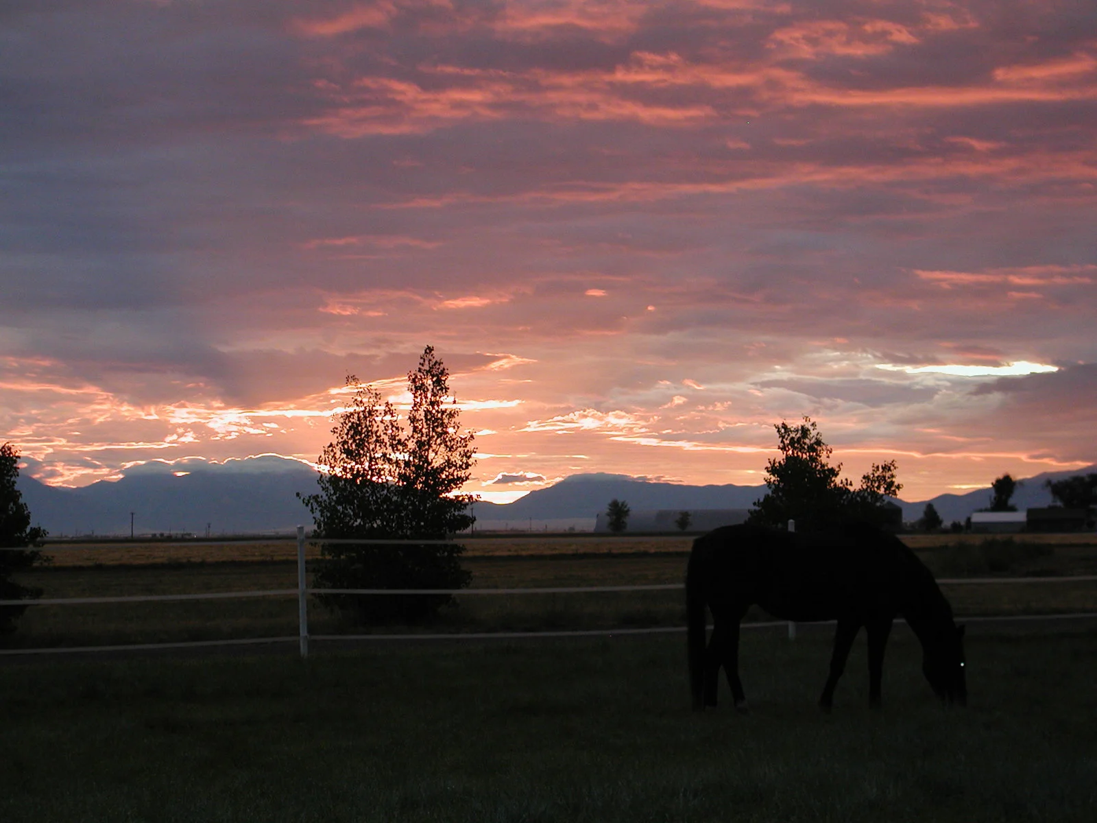 Dawn is the best time of day