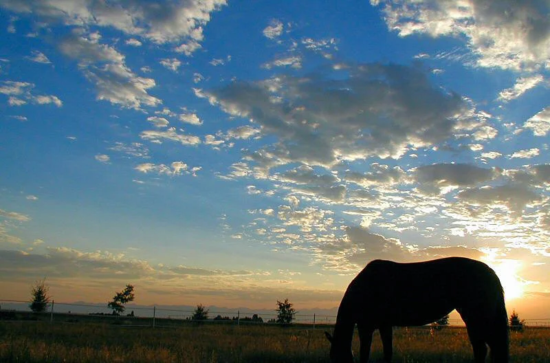 Dawn really is a good time of day.  
