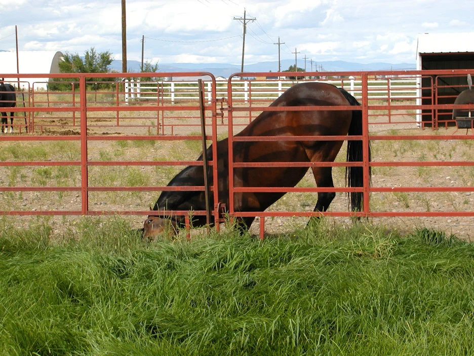 Make sure they can't reach