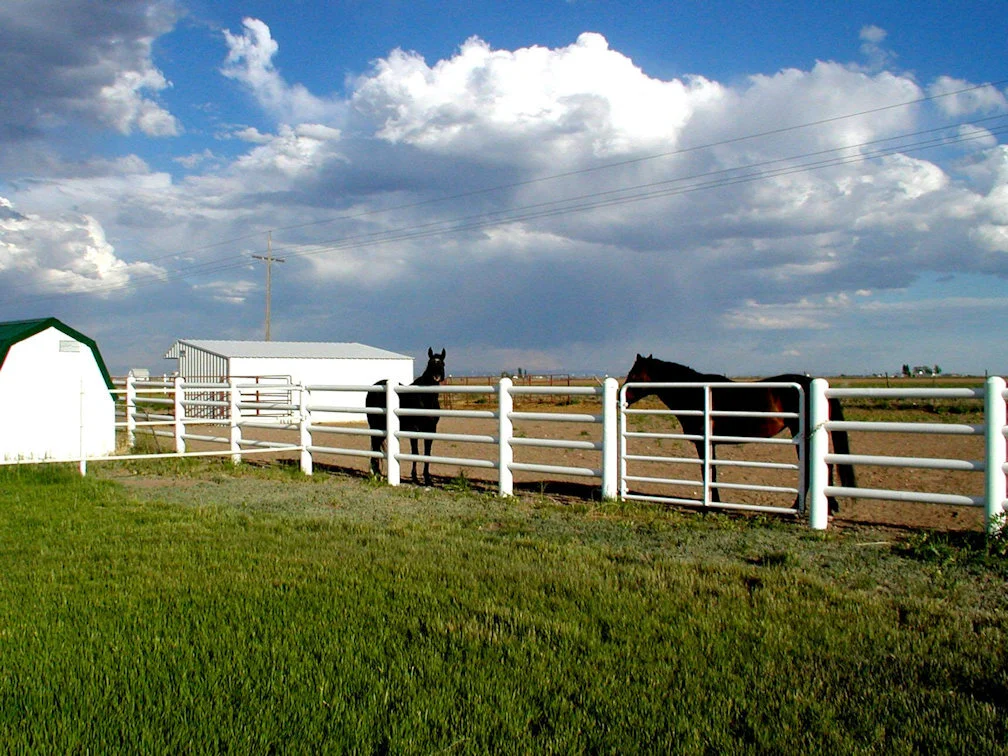 Fast or slow, high or low?