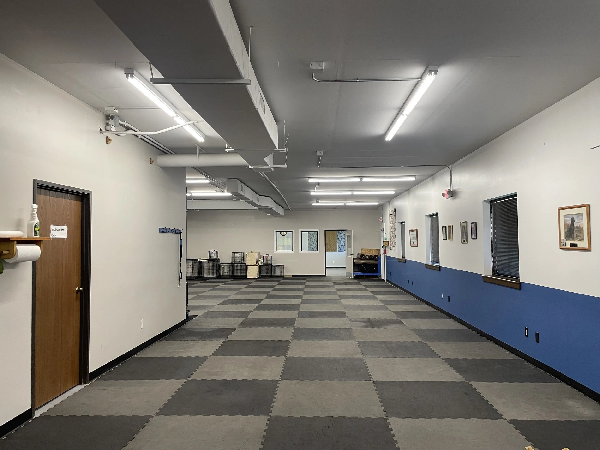 back area.jpg