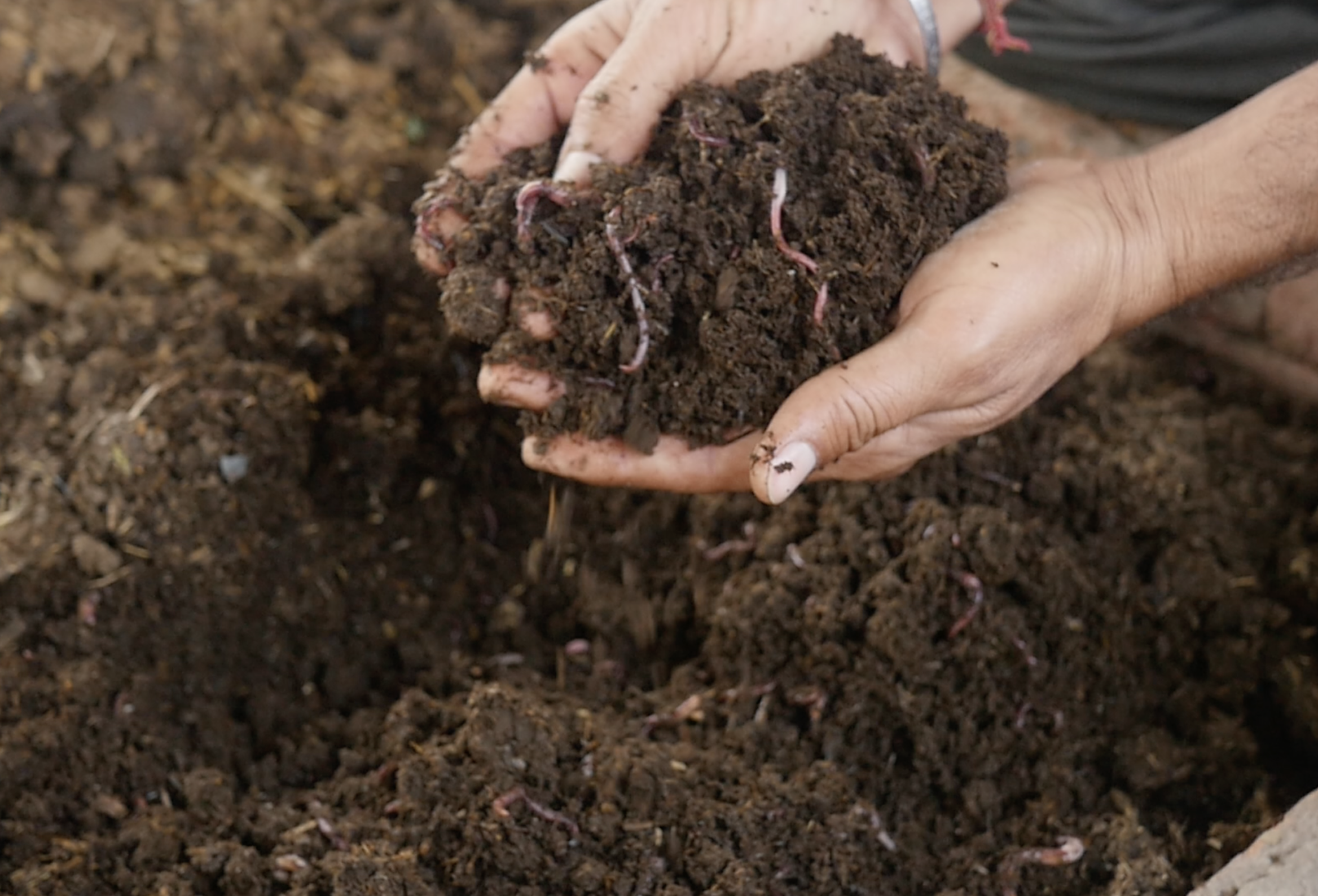 Screenshot 2026-02-05 at 11.26.44 AM.png