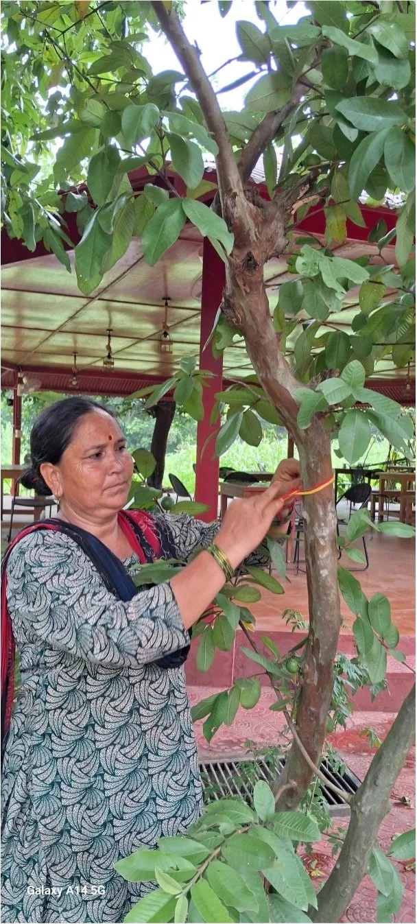 Picture1.jpg
