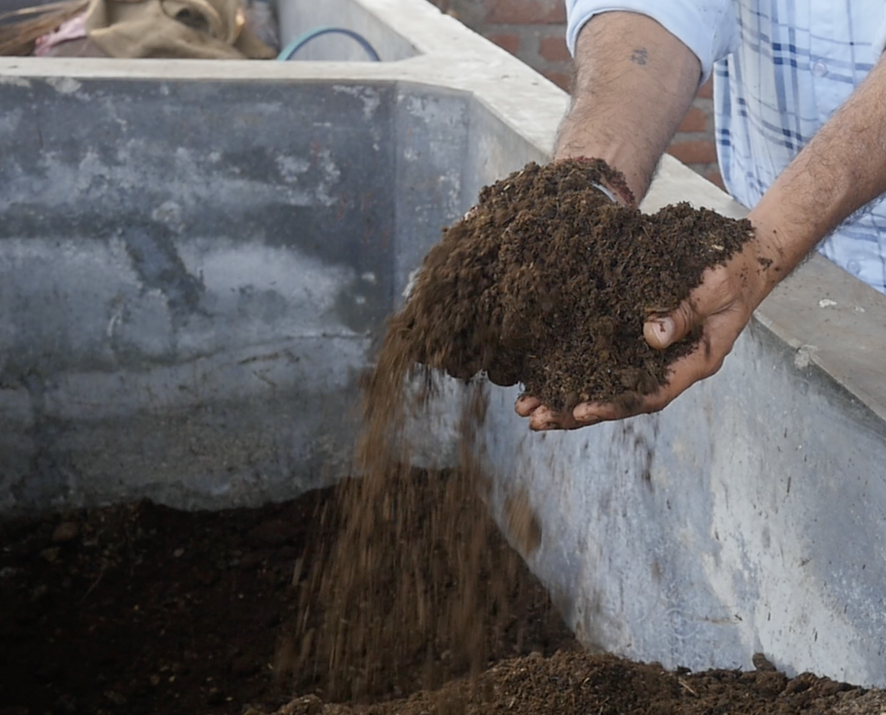 Screenshot 2026-02-05 at 11.25.55 AM.png