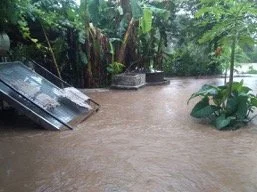Picture1.jpg