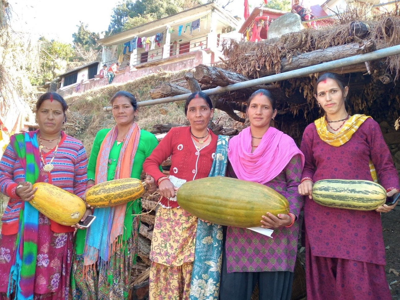 Screen Shot 2021-11-16 at 10.47.52 AM.png