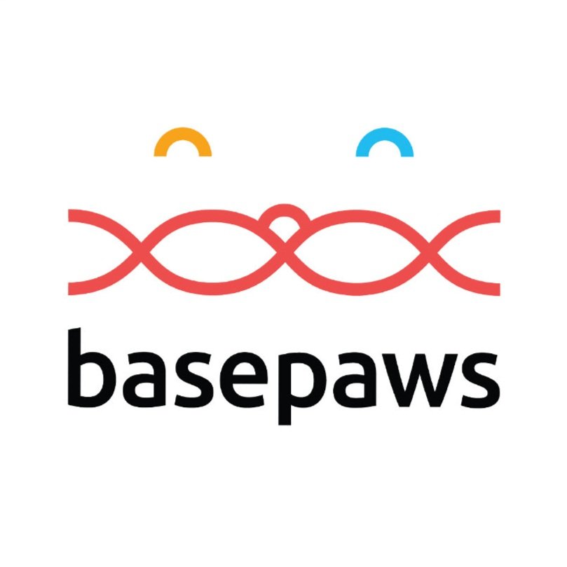 Client+Widget+-+Basepaws.jpg