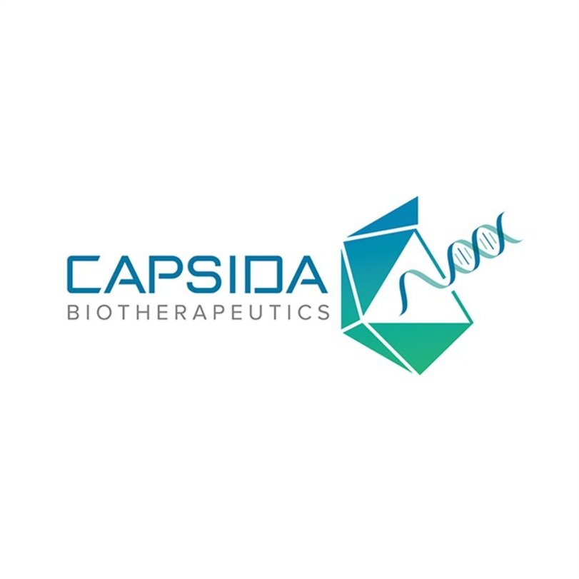 Client+Widget+-+Capsida.jpg