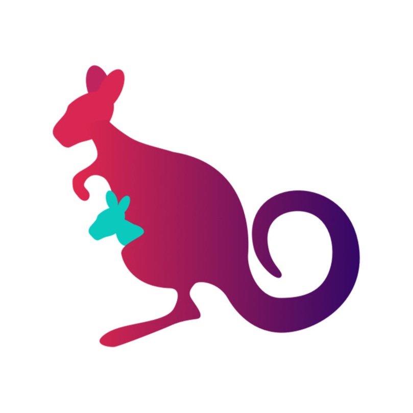 Client+Widget+-+Kangarootime.jpg