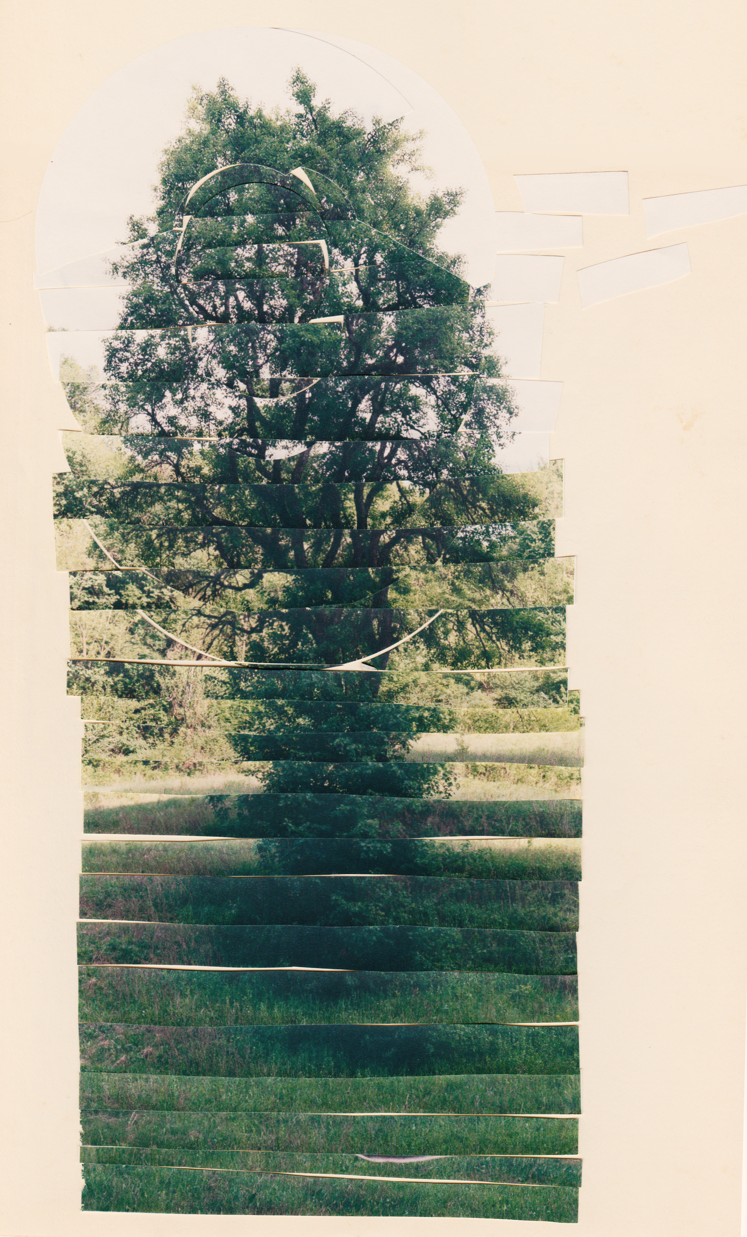 Scan 196 vertical contrasty.png
