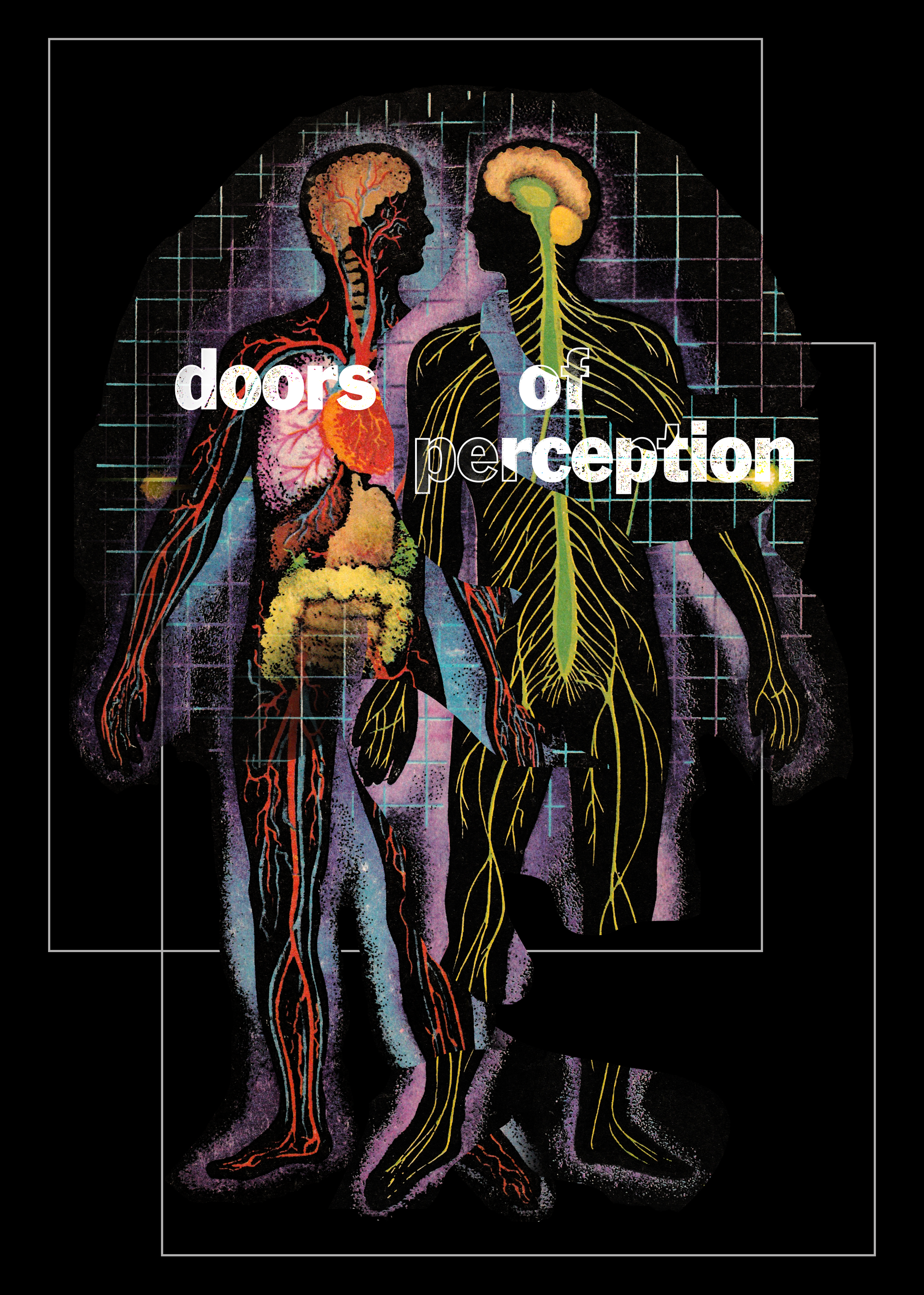 IMG_2408.png