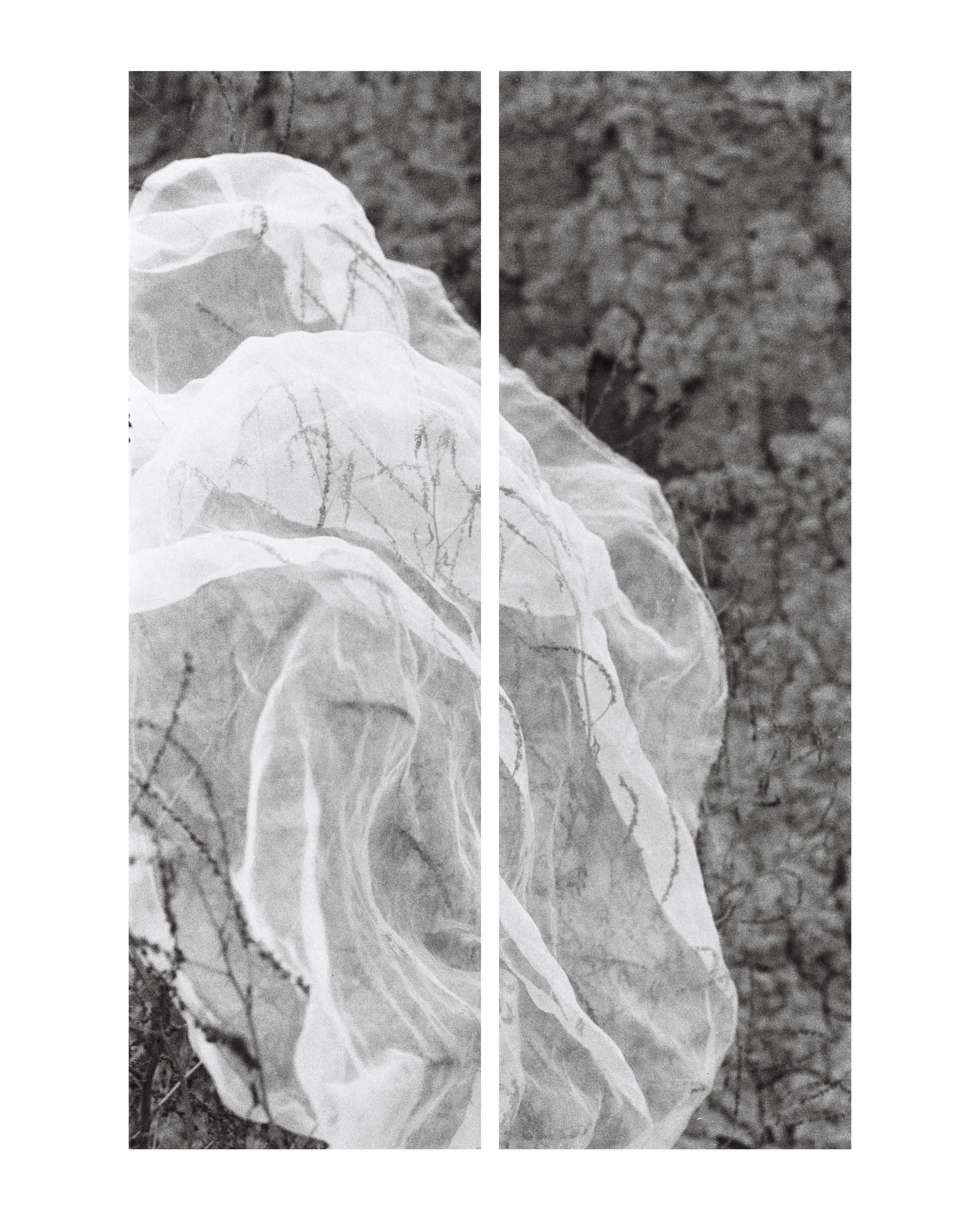 000038 cut in two.jpg