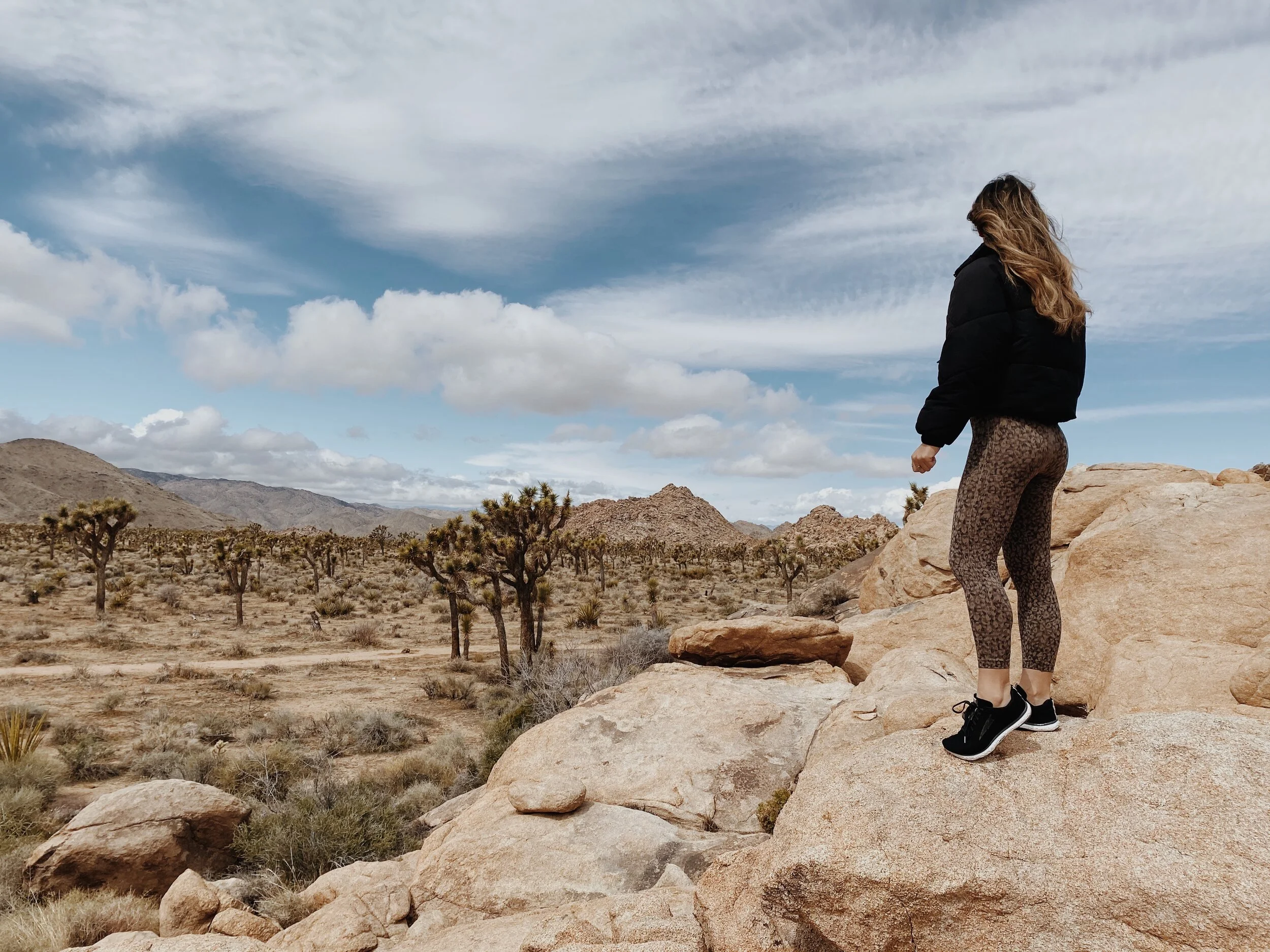 C34AEF23-6B0D-497E-A8E0-873DB3E4B250 2.JPG